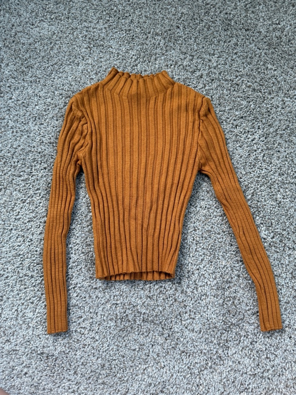 Tight Crop Ribbed Mock Neck Thin Sweater in Rust